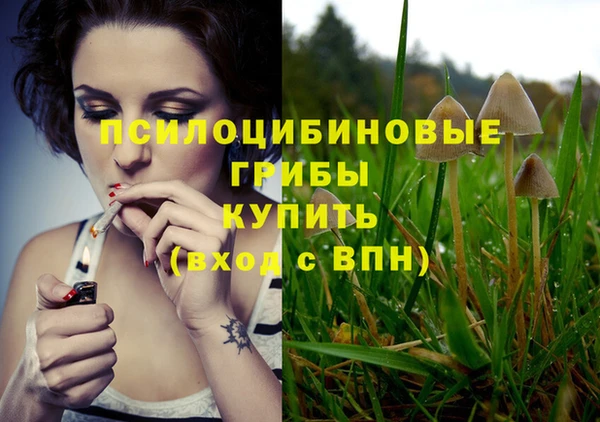 винт Алзамай