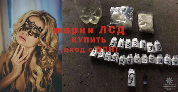 винт Алзамай