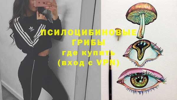винт Алзамай