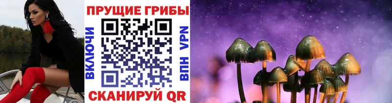 Галлюциногенные грибы Psilocybe  Купить  Чебоксары 
